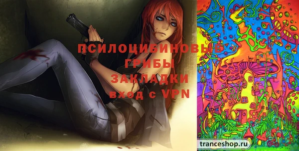 гидра Алексин