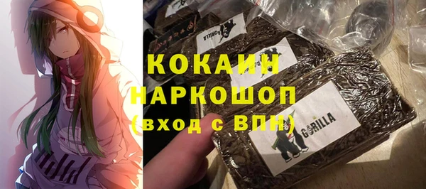 гидра Алексин